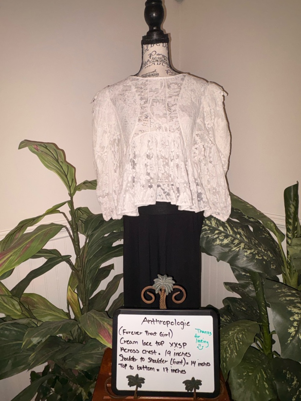 Anthropologie (Forever That Girl) Cream Lace Top